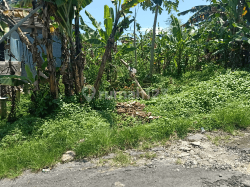 murah sebidang tanah luas 100m2 Sanggulan Kediri 1