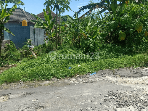 cheap plot of land 100m2 Sanggulan Kediri 2