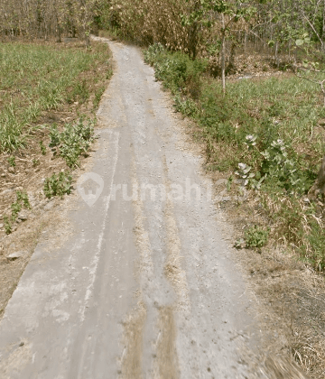 Tanah Siap Pakai Usaha Ternak Ayam Pedaging Di Sragen Solo 2