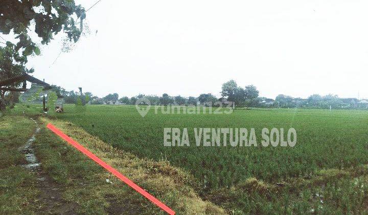 Tanah Sawah Produktif Sapen Mojolaban 1