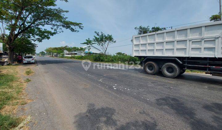 Tanah Tuban Nol Jalan Propinsi Cocok Gudang Pabrik 2