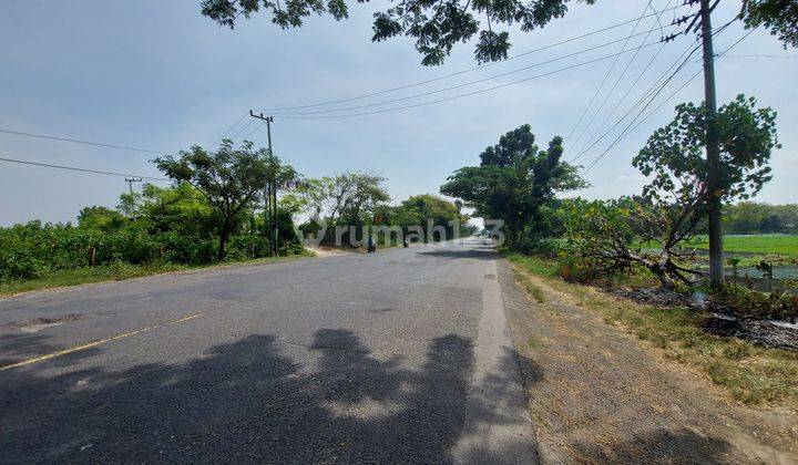 Tanah Tuban Nol Jalan Propinsi Cocok Gudang Pabrik 2