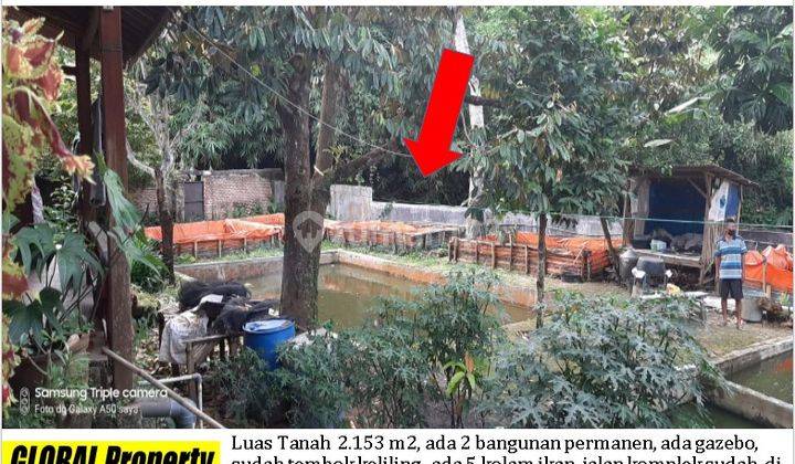 tanah rumah dan kolam ikan di kemiling cocok untuk villa 1