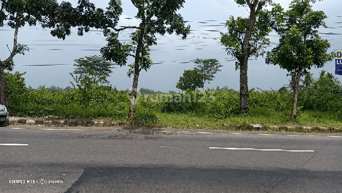 Tanah Premium stategis untuk hotel, gudang, kantor jln propinsi Purbalingga 2