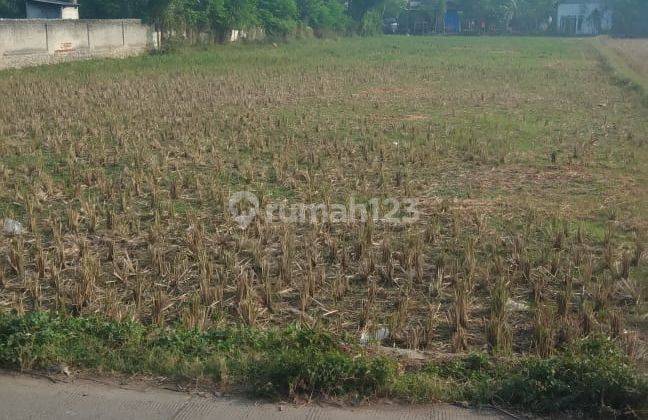 TANAH  MURAH STRATEGIS DI RAJEG TANGERANG BANTEN 1