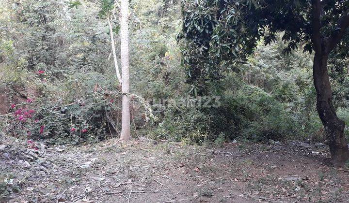 Tanah kebun pinggir jln utama air sanih dan siap bangun 1