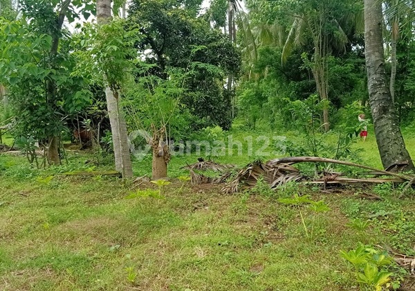 TANAH MURAH SINGARAJA