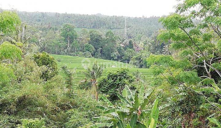 Land with views of valleys and mountains in Selemadeg Bali 2