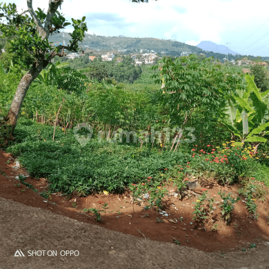 Jual Tanah Kebun Muraah Cocok Untuk Di Biklin Perumahan Sebelah Utara Dago Resort Jl: Bukit Pakar Timur Bandung Utara 