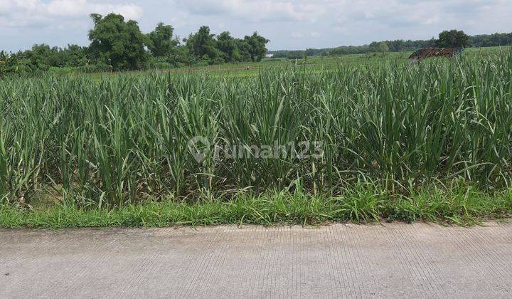 Tanah di Kemlagi Mojokerto 1