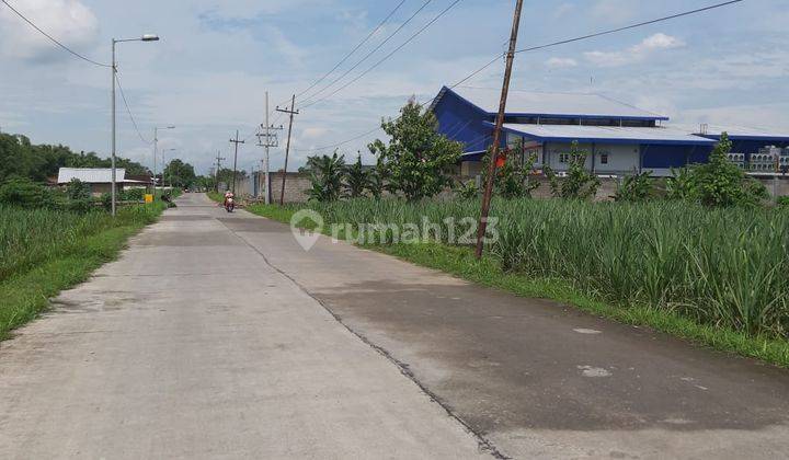 Tanah di Kemlagi Mojokerto 2