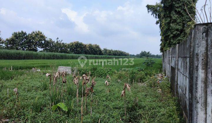 Tanah Plot Industri di Mojosari Mojokerto 1