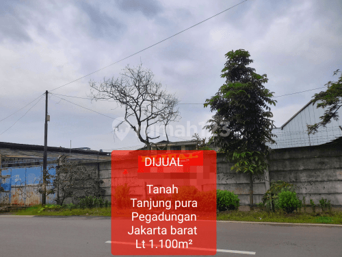 Tanah Tanjung pura Pegadungan Jakarta barat 1