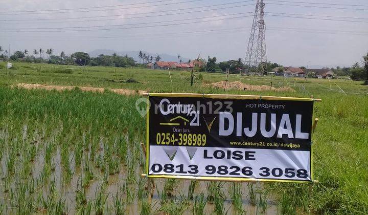 Tanah Sawah Kebon Dalem 2