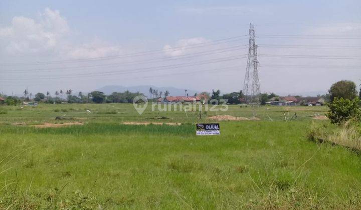 Tanah Sawah Kebon Dalem 1