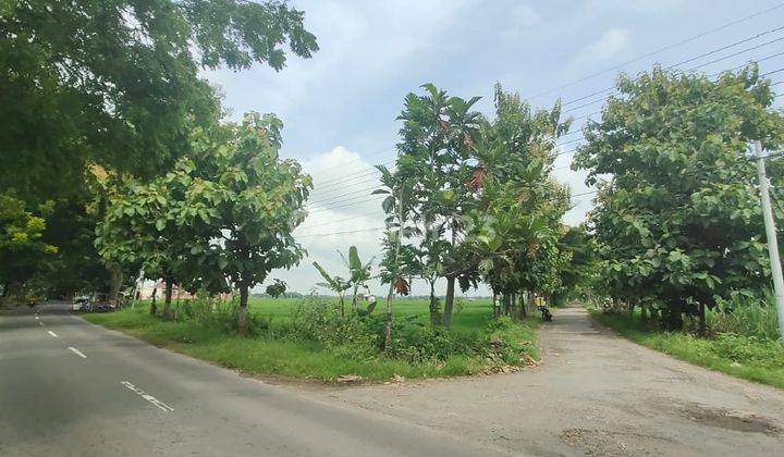 Tanah jalan Raya Karas dekat Polsek Karas, Magetan 1