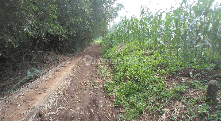 Tanah Matang di Banjaran Bandung 2