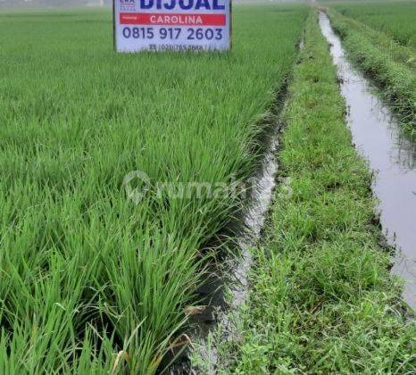Tanah Sawah Bisa Dijadikan Lahan Komersil 2