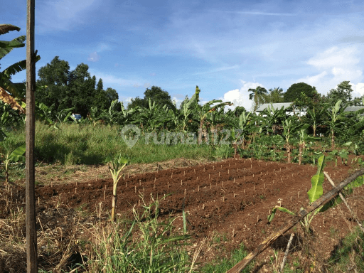 kavling depan jalan utama,cocok untuk segala usaha 1