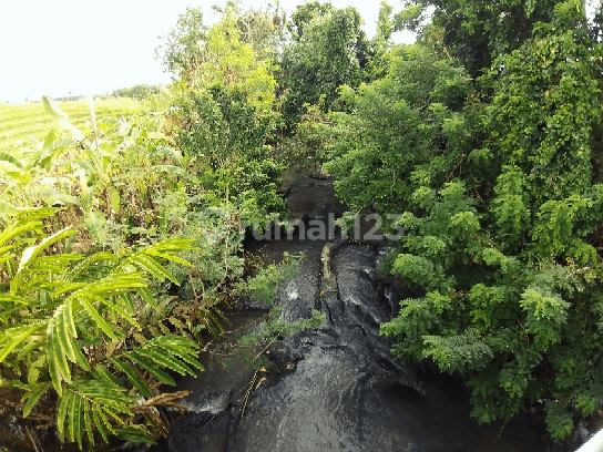 FREEHOLD Land, 180 Are in Tanah Lot 2