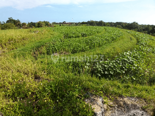 FREEHOLD Land, 180 Are in Tanah Lot 2