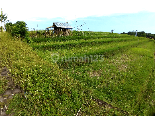 FREEHOLD Land, 180 Are in Tanah Lot 1