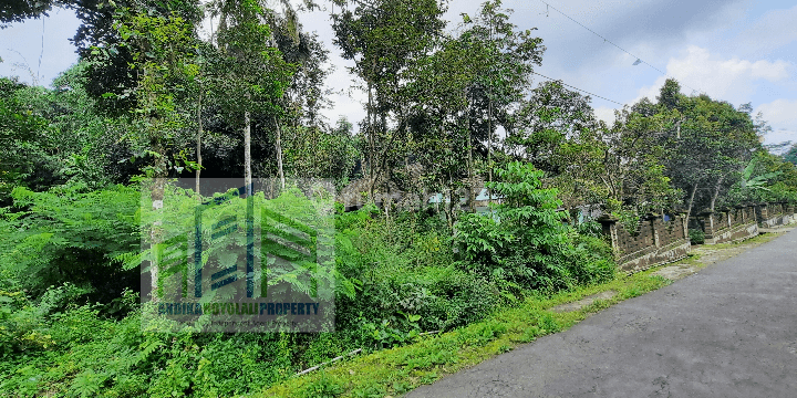 Tanah murah di winong boyolali 1