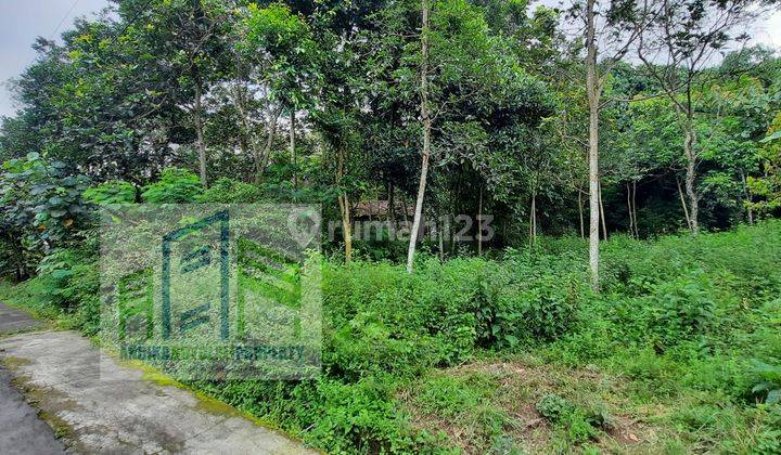 Dijual Tanah Pekarangan Murah Di Winong Boyolali 2