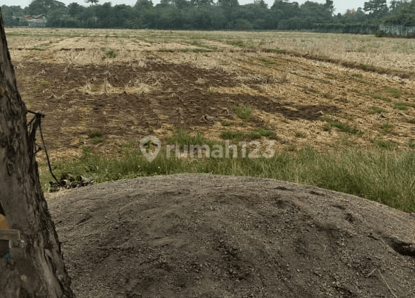 Tanah Murah Luas di Cikarang Timur Bekasi 2