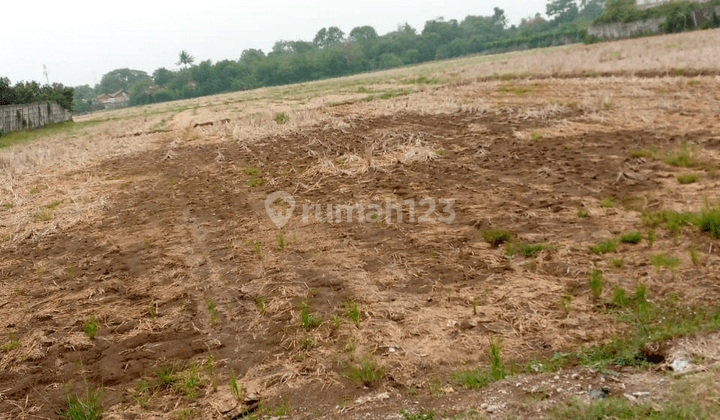 Tanah Murah Luas di Cikarang Timur Bekasi 1