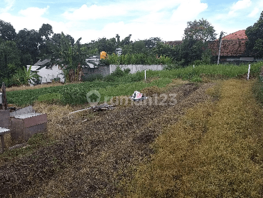 Di  Tanah 25 Are di Tumbak Bayuh Canggu Utara Bali 2