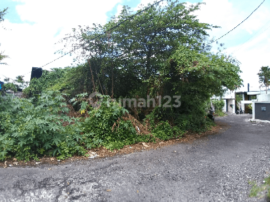 Tanah Kecil 210 m2 di Tumbak Bayuh Canggu Bali 2