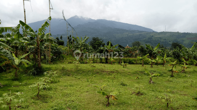 tanah sangat cocok untuk rumah kebun atau villa 1