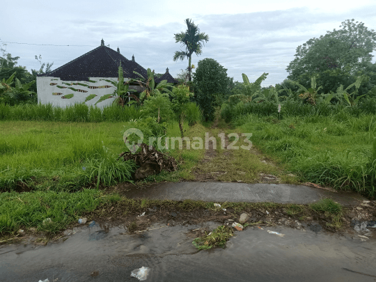 Tanah lokasi pinggir jalan utama Cau Belayu Ayunan 2