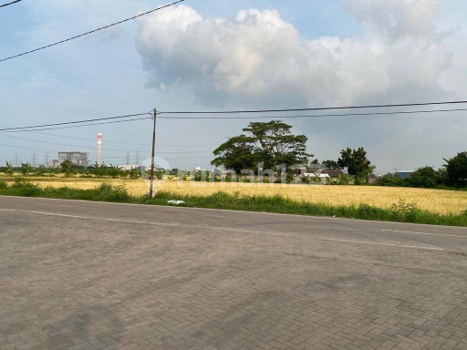 Tanah Murah dibawah Pasaran.