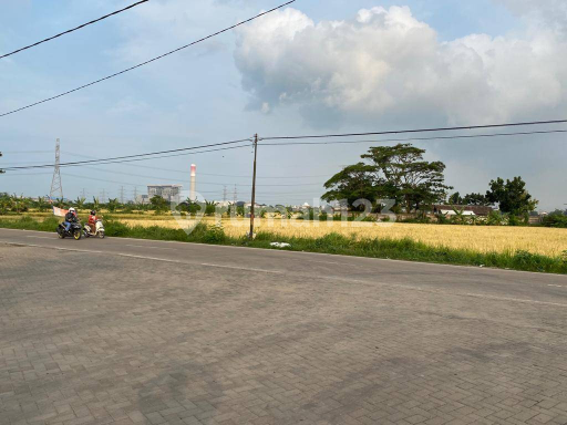 Tanah Murah dibawah Pasaran.