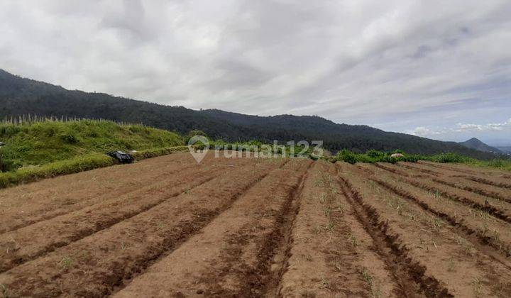 TANAH PUNCAK BUKIT PARALAYANG KEMUNING 1