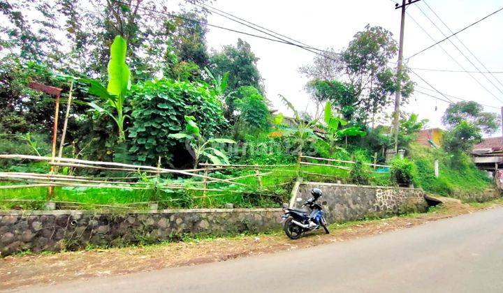 Tanah Pinggir Jalan Dekat Kantor BMKG Karangploso 2