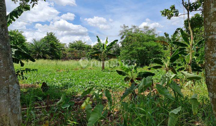 Tanah Bagus Strategis Jalan Raya Cisauk Kadusirung Bsd 2