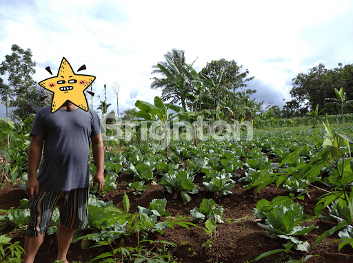 TANAH KAVLING DI KAKI GUNUNG SALAK SUKABUMI 1