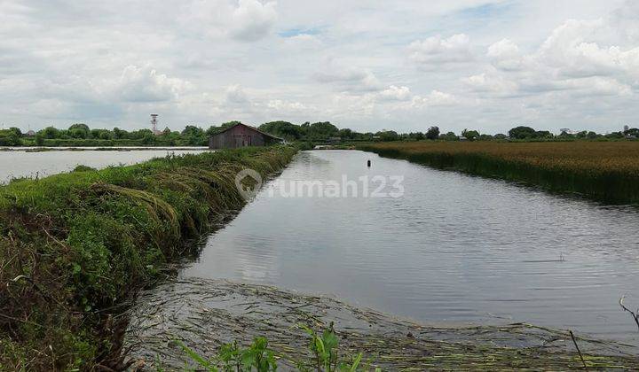 Tanah Plot Perumahan di Banjar Kemuning 1