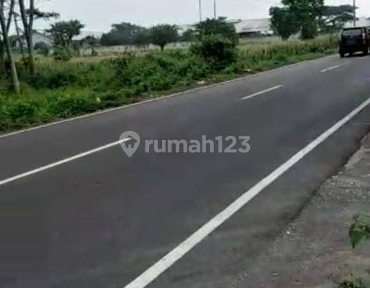 Tanah Plot Industri Di Sukorejo Pasuruan 1