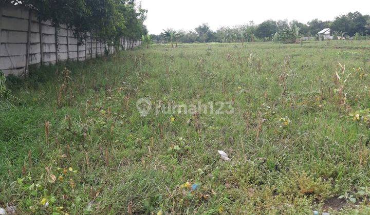 Tanah Plot Industri Di Jetis, Mojokerto 1