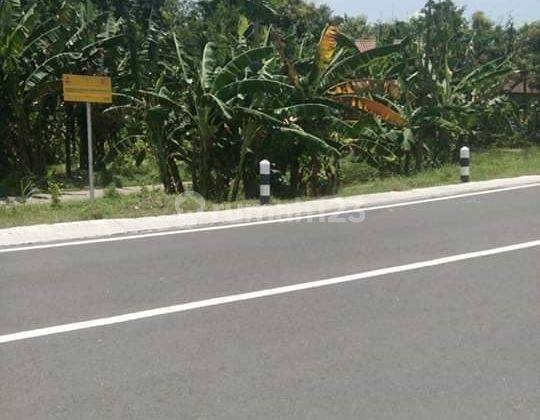 Tanah Di Plot Industri Nol Provinsi Di Ploso, Jombang 1