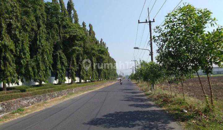 Tanah cocok untuk pabrik Balongbendo 1