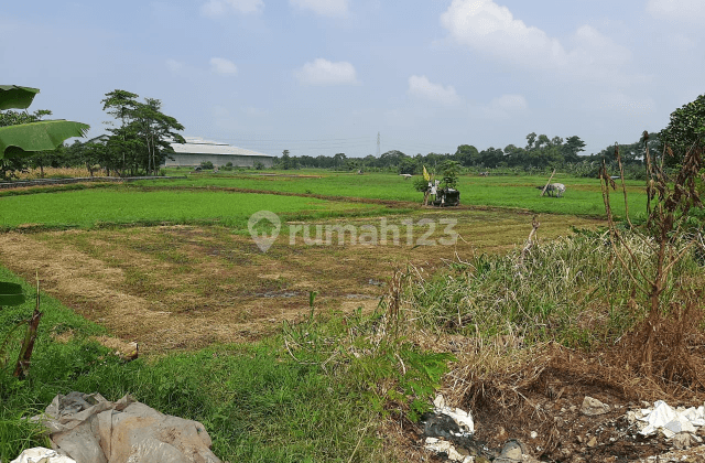 Tanah Luas di Kecamatan  Sukakarya Desa Sukakarya  Bekasi 2