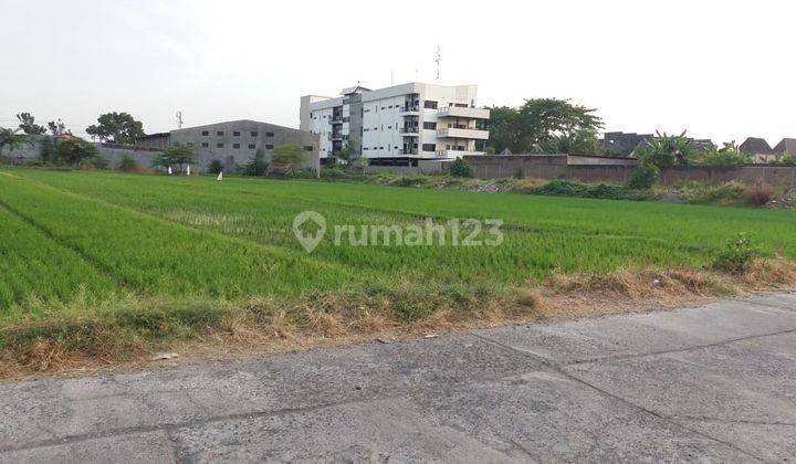 Tanah siap bangun udah urug dekat tuguboto 2