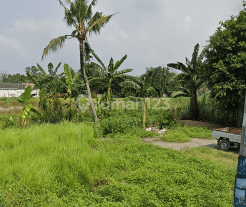 Tanah Murah Siap Bangun Cocok Untuk Mini Cluster di Tambun Selatan 1