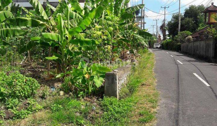 LANGKA! TANAH MURAH DI JL UTAMA KEROBOKAN BADUNG BALI 1