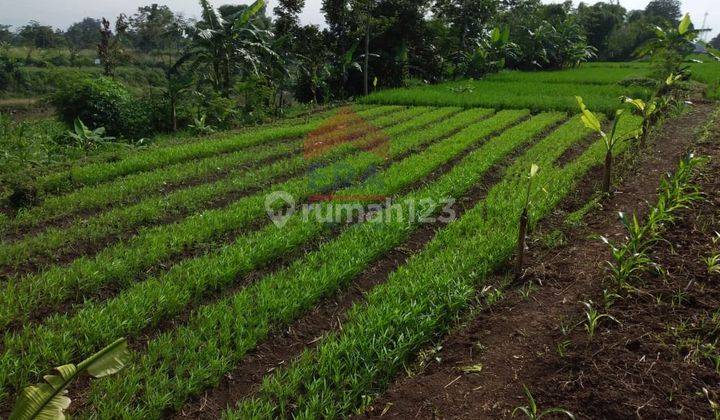 Tanah Cipatik ex pabrik,  dekat akses ke tol 2